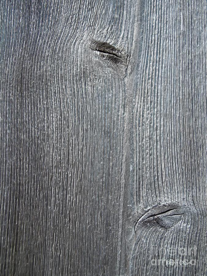 Knot Photograph - Knotty Plank #2A by Robert ONeil