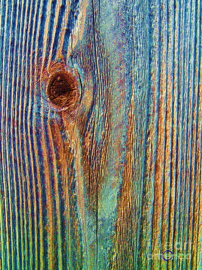 Knot Photograph - Knotty Plank #3B by Robert ONeil