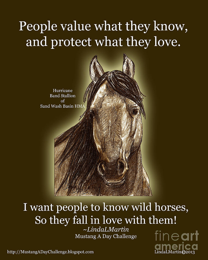 Know Wild Horses Poster-Huricane Painting by Linda L Martin