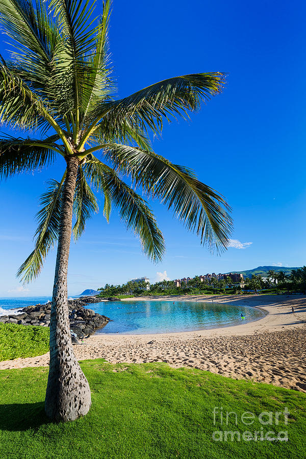 Ko Olina Photograph - Ko Olina Cove 3 Palm Tree by Aloha Art