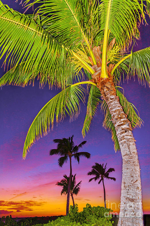 Ocean Sunset Photograph - Ko Olina Purple Sunset by Aloha Art