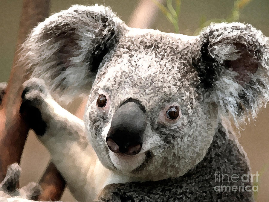 Wildlife Mixed Media - Koala Bear by Marvin Blaine