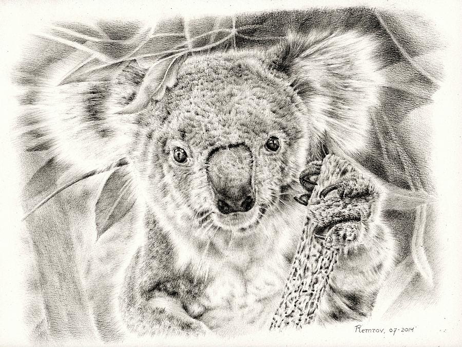 Koala Garage Girl Drawing by Casey Remrov Vormer