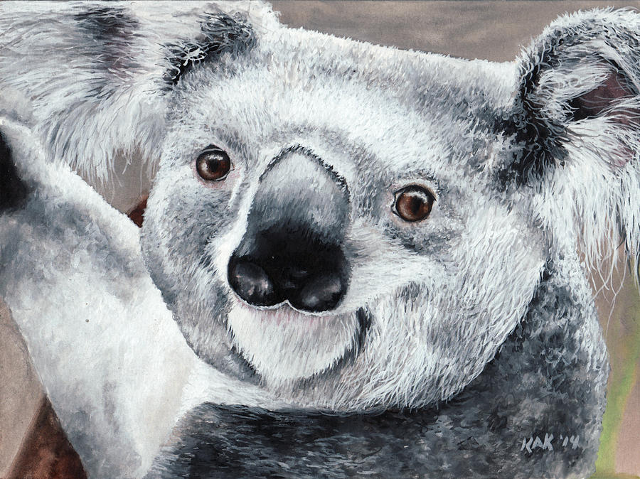 Koala Painting by Katherine Klimitas - Fine Art America