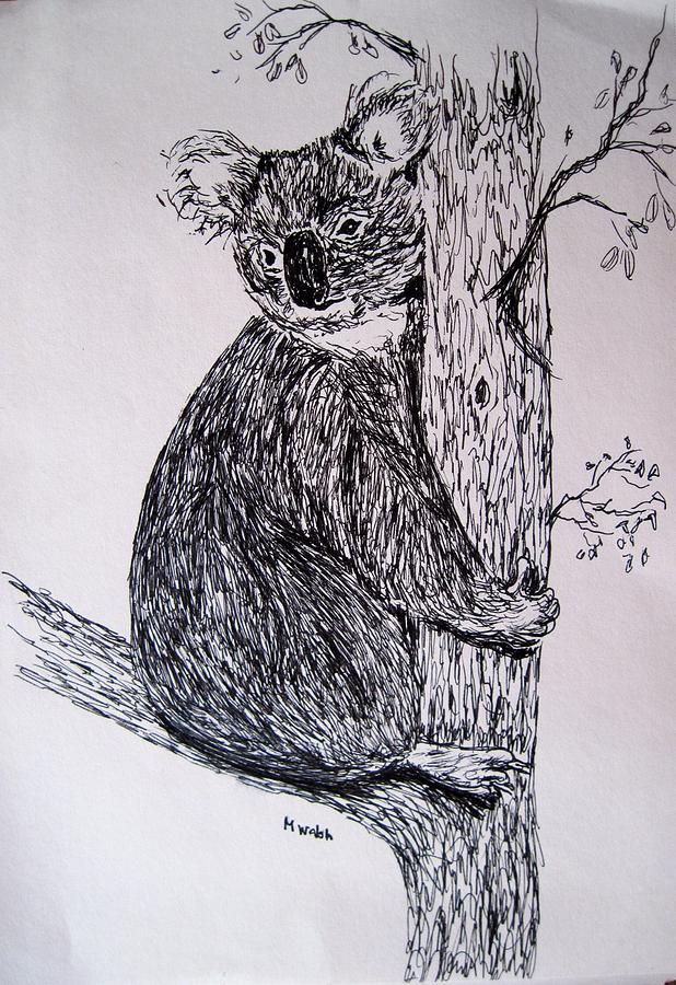 Koala Drawing by Megan Walsh