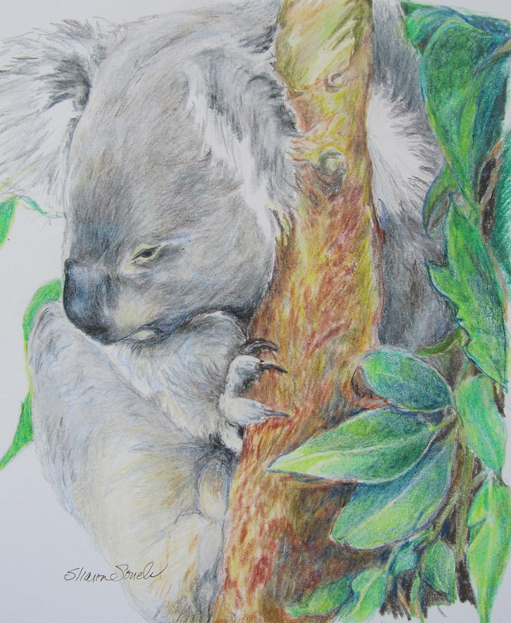 Koala Nap Time by Sharon Sorrels Koala Nap Time by Sharon Sorrels