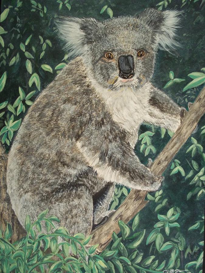 Wildlife Painting - Koala by Teresa  Peterson