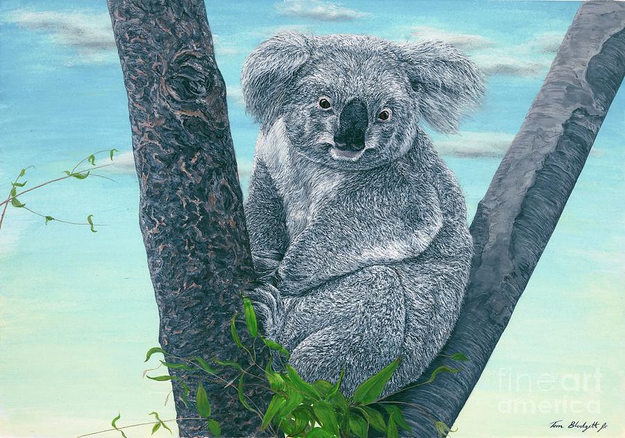 Wildlife Painting - Koala by Tom Blodgett Jr