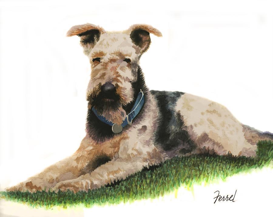 Kobe Airedale Terrier Painting by Ferrel Cordle