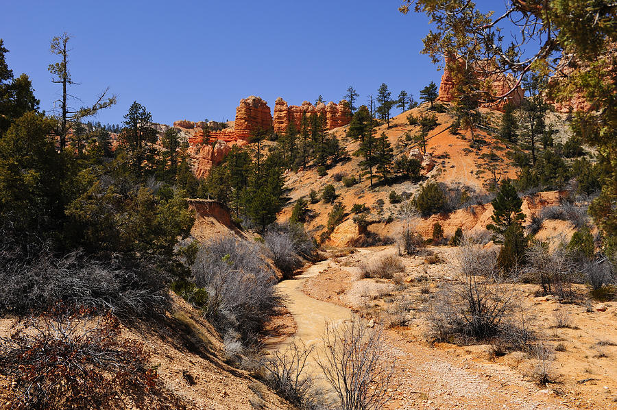 Park Photograph - Kodachrome basin by Don and Bonnie Fink Park Photograph - Kodachrome basin by Don and Bonnie Fink
