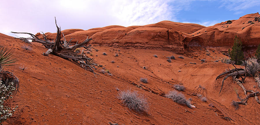 Kodachrome Basin Red Photograph By Viktor Savchenko | Fine Art America