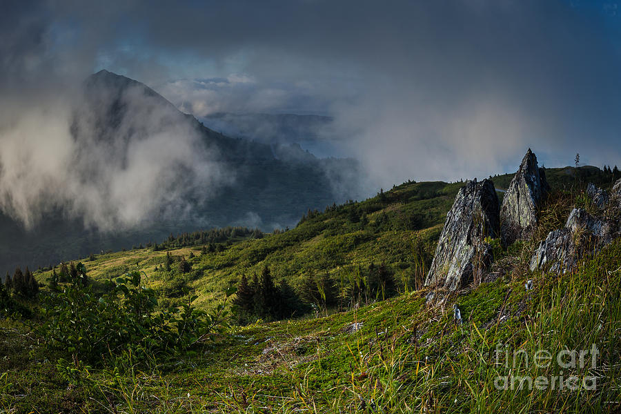 Kodiak View Photograph by Steven Reed