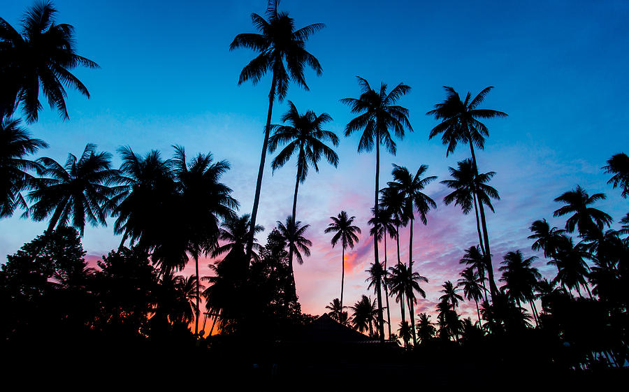 Koh Samui Sunrise Photograph by Mike Lee