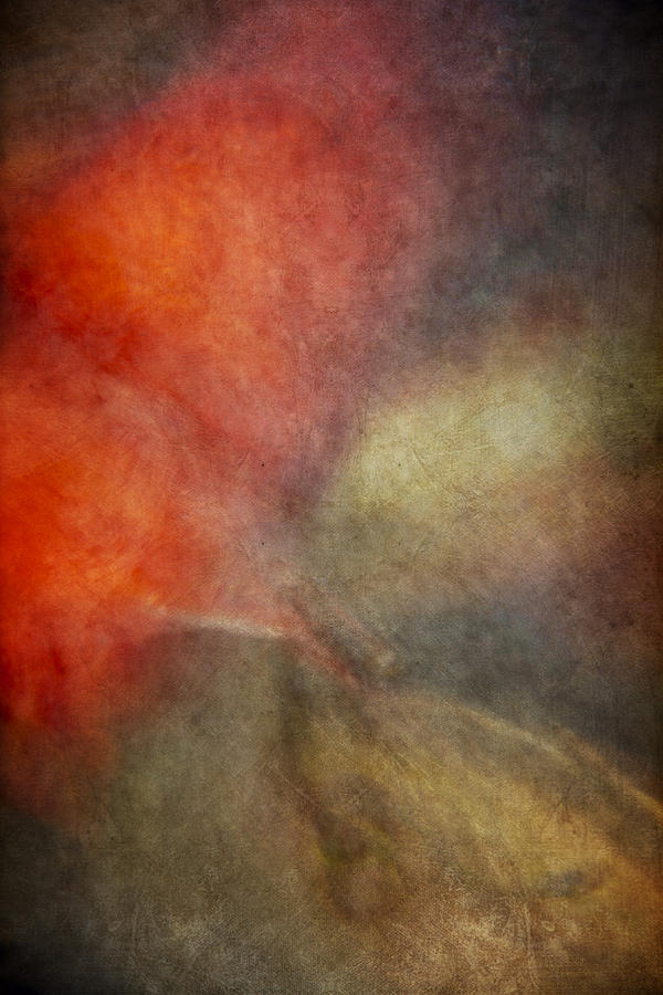 Abstract Photograph - Koi Abstract by Margie Hurwich