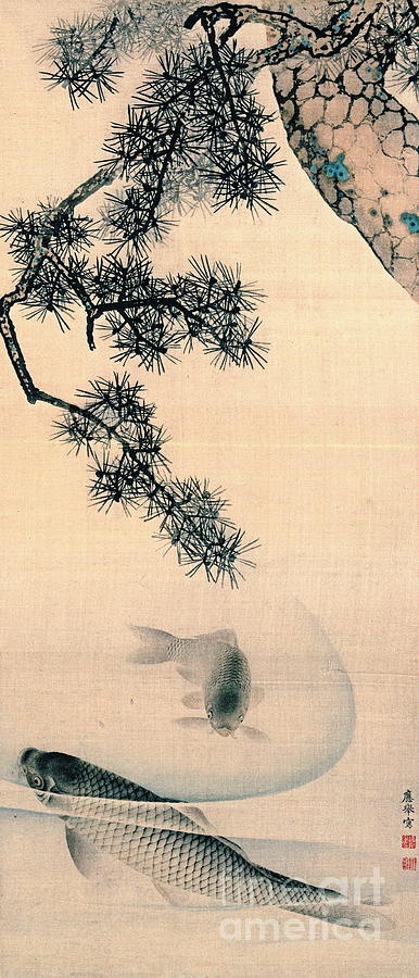Koi and Pine Branch 1790 Photograph by Padre Art