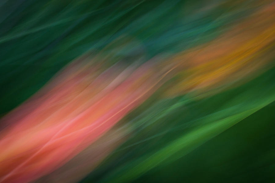 Motion Blur Photograph - Koi by Dayne Reast