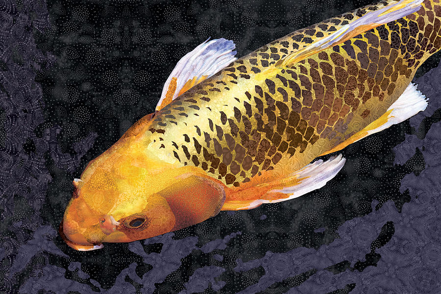 Koi Golden Digital Art by Robin Morgan