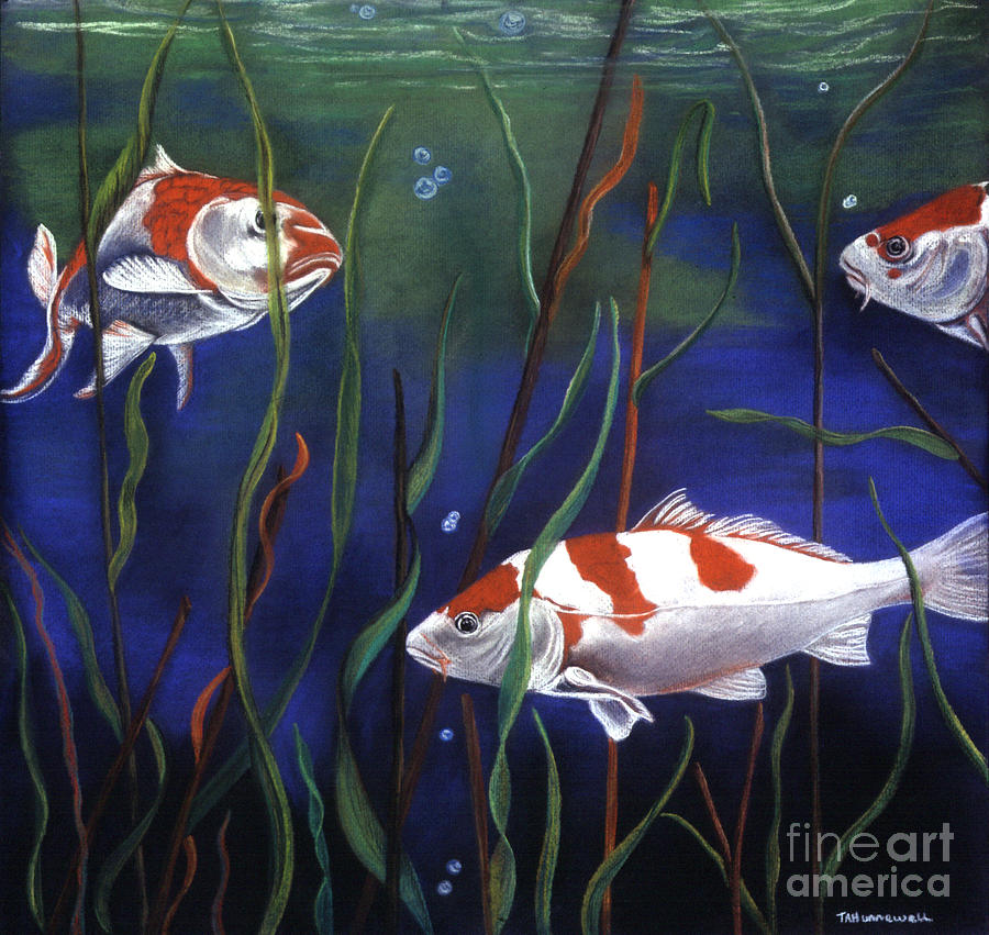 Koi in Reeds Pastel by Tracey Hunnewell