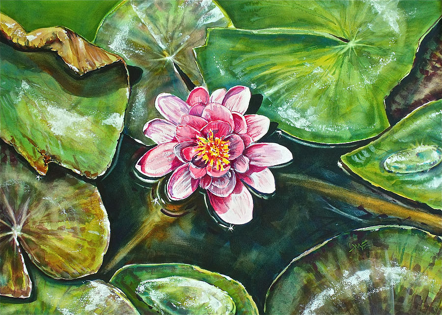 Koi Lily Painting by Lynne Haines