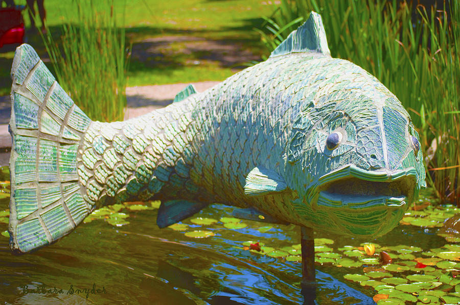 Koi Pond Fish Santa Barbara Digital Art by Barbara Snyder