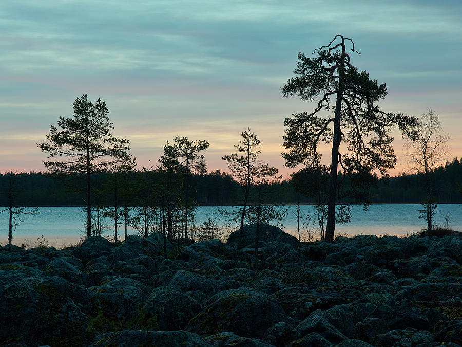 Koirajarvi dawn Photograph by Jouko Lehto