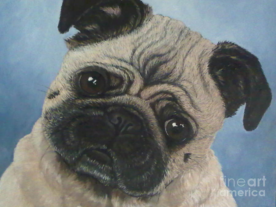 Pug Painting - Koko by Ana Marusich-Zanor