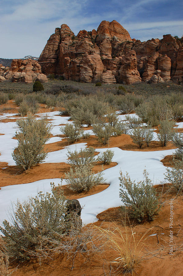 Desert Photograph - Kolob Plateau by Paul Yoder