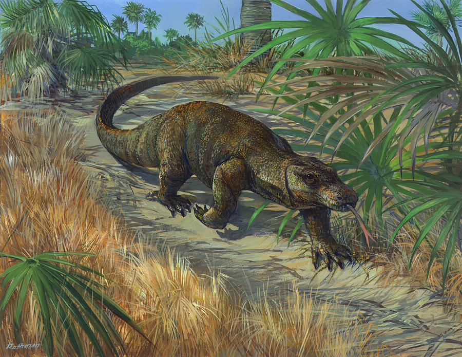 Wildlife Painting - Komodo Dragon on the Prowl by ACE Coinage painting by Michael Rothman