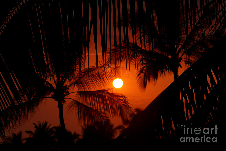 Sunset Photograph - Kona Sunset by Bob Hislop