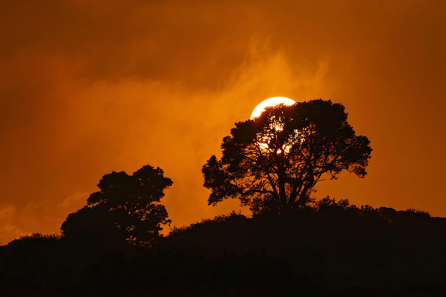 Kona Sunset Photograph by Dustin LeFevre