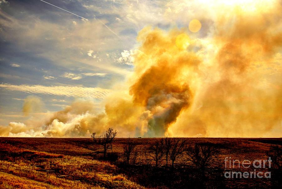 Konza Prairie Burn Photograph by Jean Hutchison