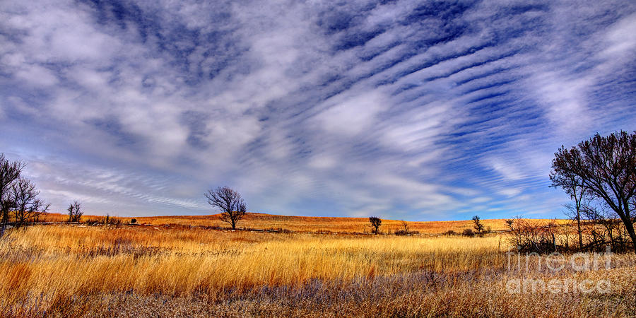 Konza Prairie Pano Photograph by Jean Hutchison