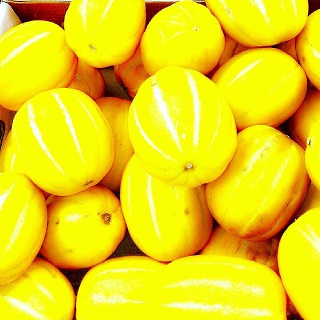 Fruit Photograph - #koreanmelon #fruits #frutas by Roberto Carlos