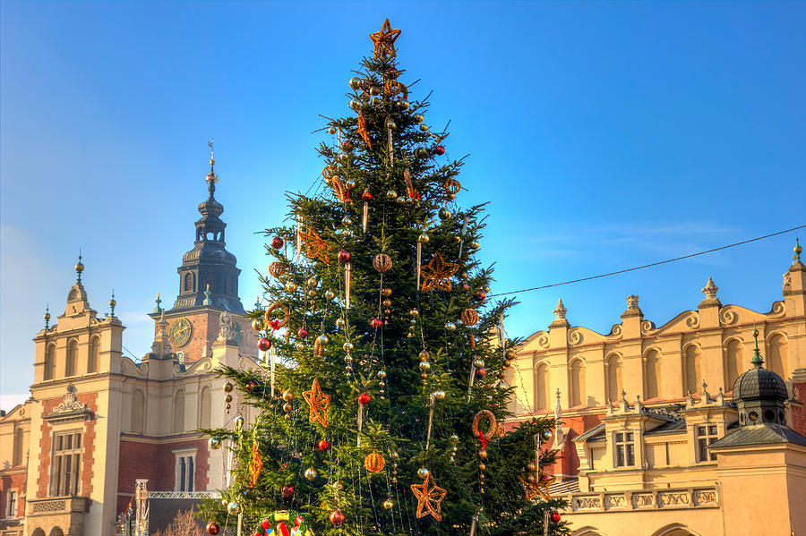 Krakow Christmas Tree Photograph by Pati Photography