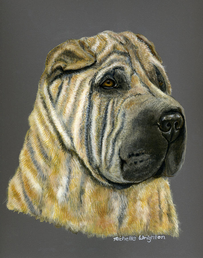 Kruger Shar Pei Portrait Painting by Michelle Wrighton