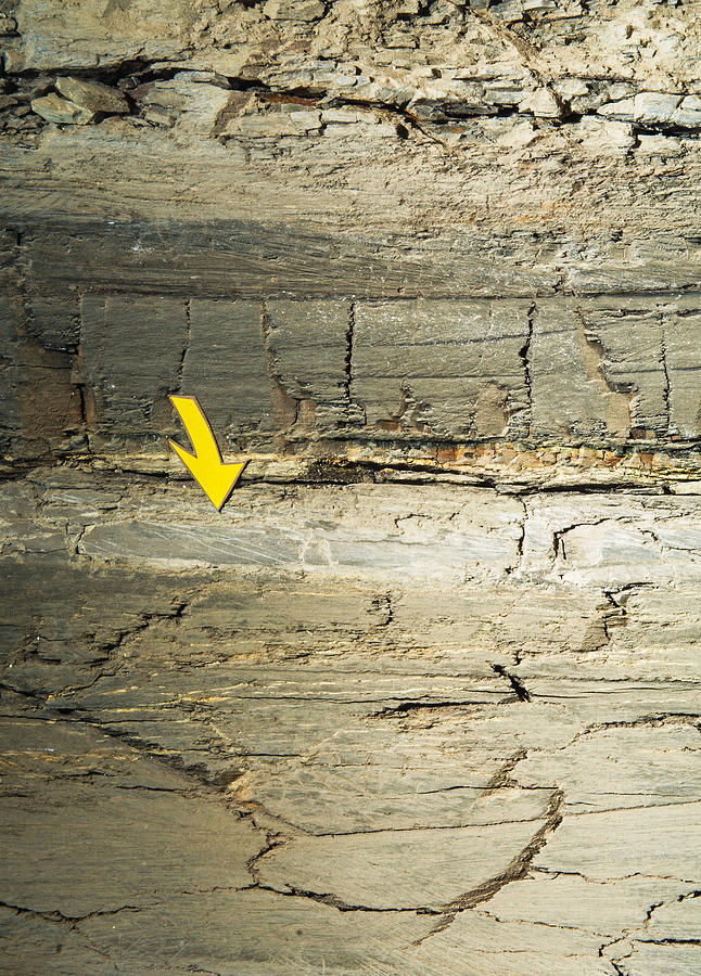 Kt Boundary And Iridium Layers In Rock Photograph by Millard H. Sharp