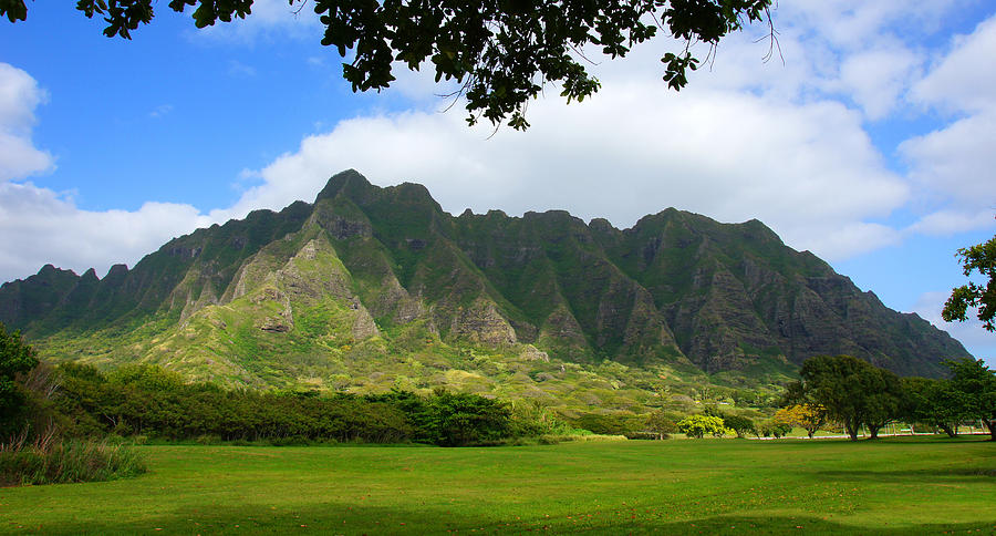 Kualoa Park Hawaii Photograph by Kevin Smith - Fine Art America