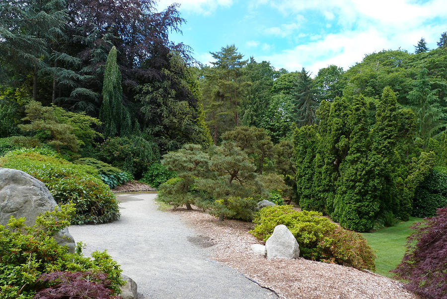Kubota Garden In Seattle Photograph By Susan Porter