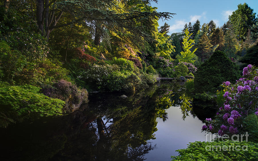 Kubota Pool Serenity Photograph by Mike Reid - Fine Art America