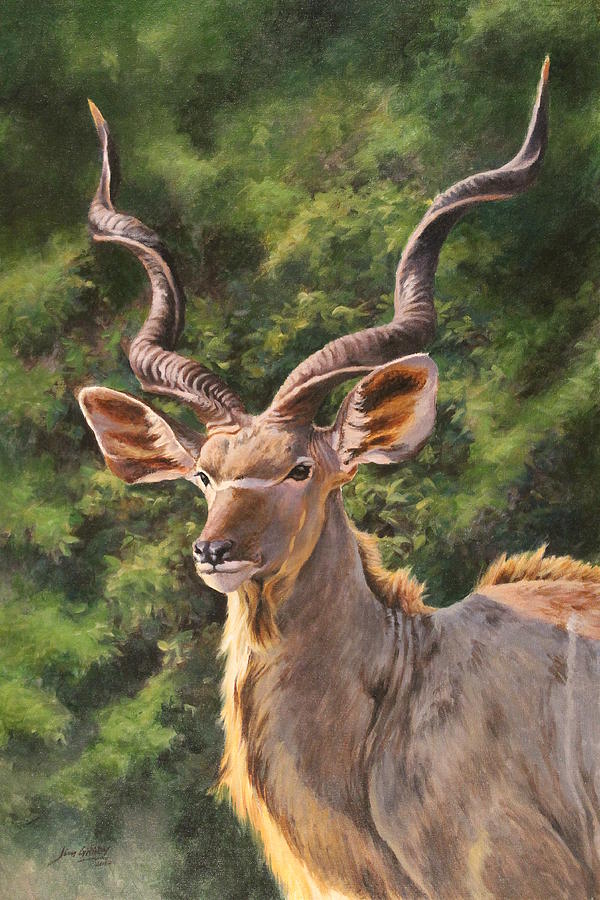 Kudu Painting by Jim Grady - Fine Art America