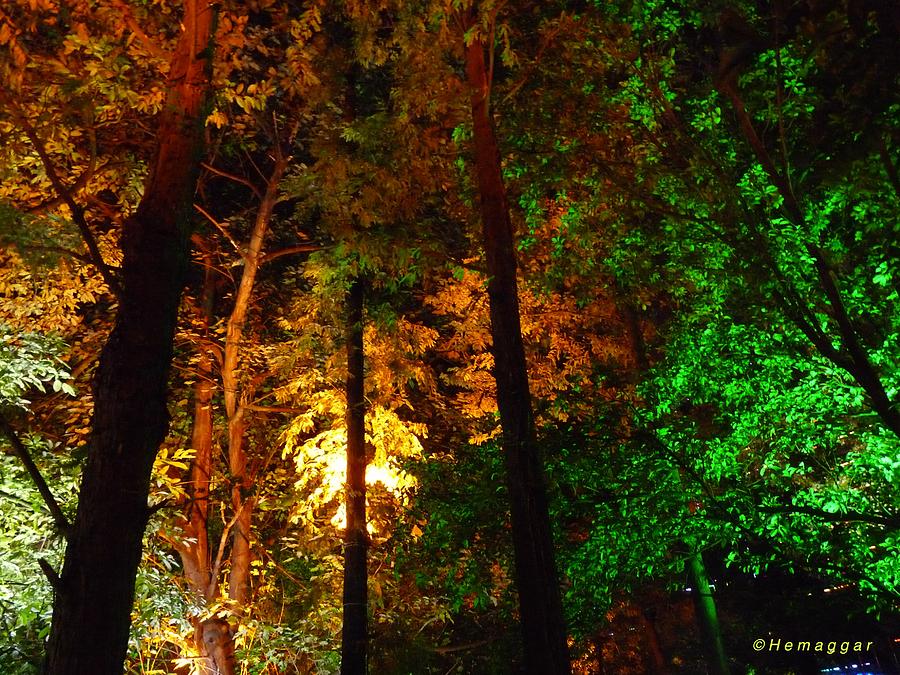 Nature Photograph - Kuming At Night by Hemu Aggarwal Nature Photograph - Kuming At Night by Hemu Aggarwal