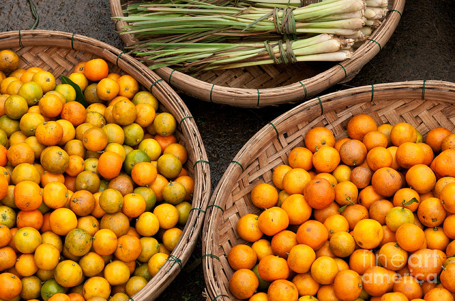 Kumquats Lemongrass 01 Photograph by Rick Piper Photography