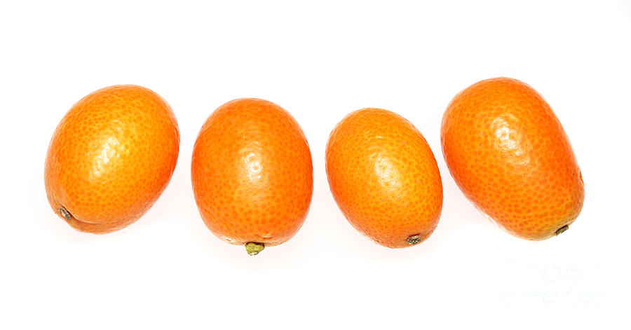 Kumquats  Photograph by Nicholas Burningham