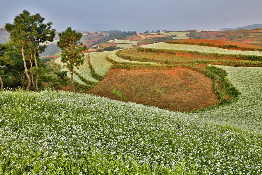Landscape Photograph - Kunming Dongchuan Red Land Area by Darrell Gulin
