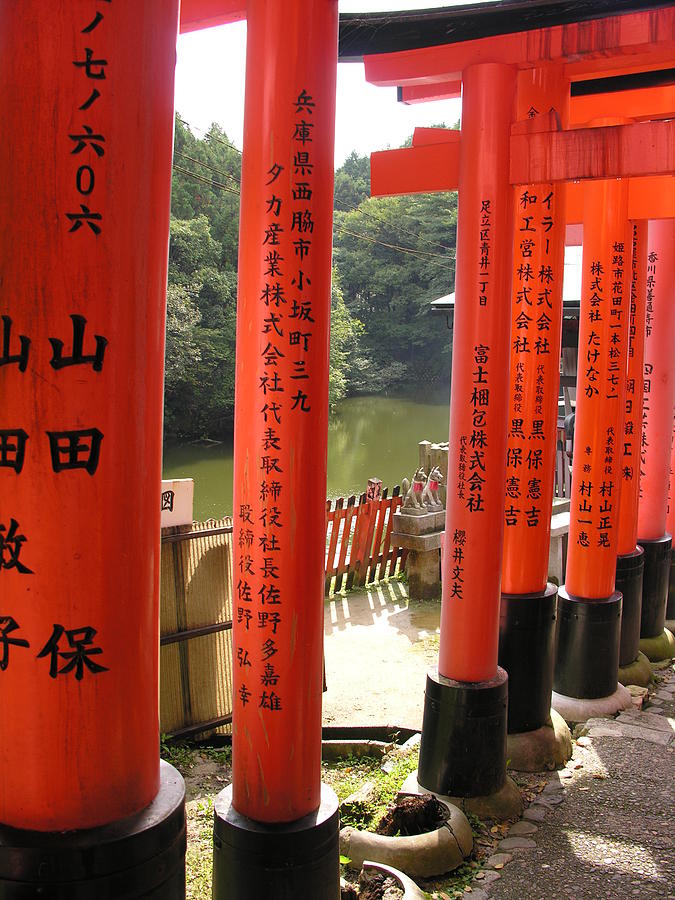 Kyoto - Fushimi Shrine - Avenue of Torii Gates Photograph by Jacqueline M Lewis