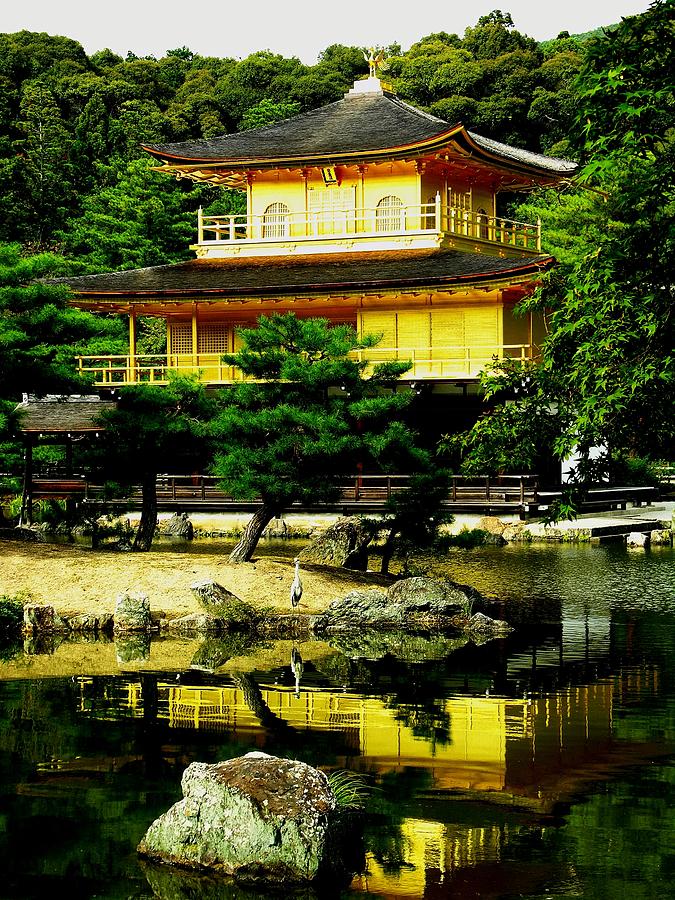 Japan - Kyoto - Kinkaku-ji - Golden Pavilion - Rokuon-ji Photograph by Jacqueline M Lewis