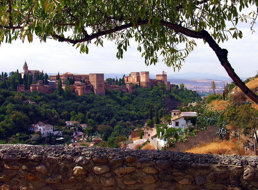la Alhambra view from Sacramonte - Grenada Spain Photograph by Jacqueline M Lewis