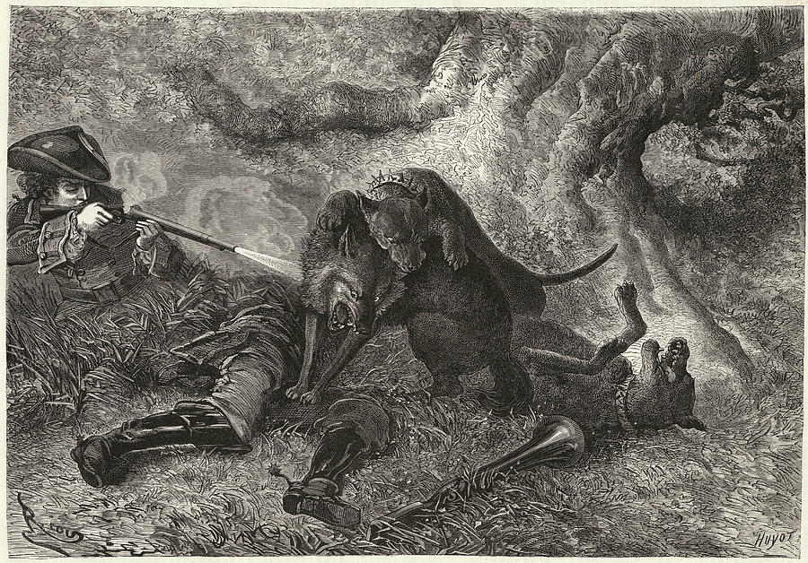 Beast Drawing - La Bete Du Gevaudan  The Beast With One by Mary Evans Picture Library