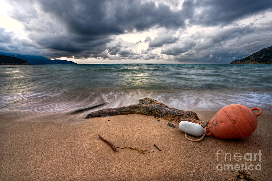 La Biodola beach - Elba island Photograph by Luciano Mortula