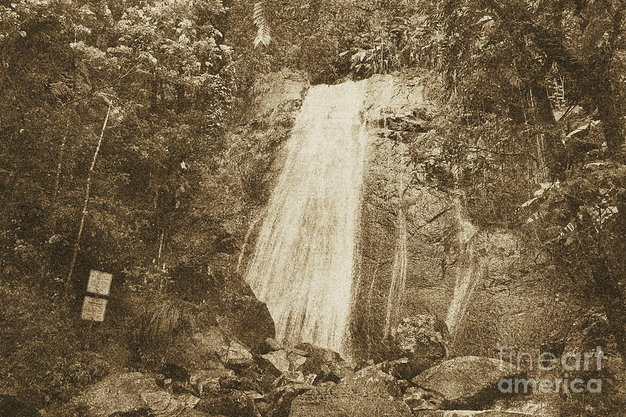La Coca Falls El Yunque National Rainforest Puerto Rico Print Vintage Photograph by Shawn OBrien